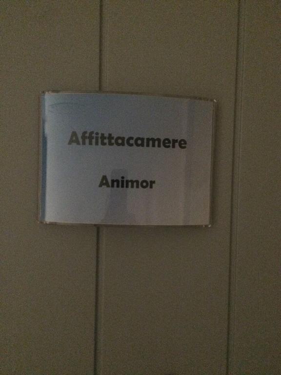 Gasthuis Animor Cagliari